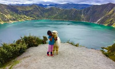 6 Days Luxury Andes Quito Cotopaxi Quilotoa Baths Chimborazo