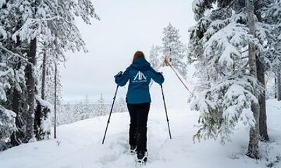 Guided 4-Hour Snowshoe Adventure in Lapland (Private)