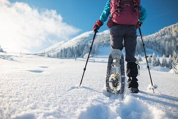 Adventure on Mount Etna: Experience the Magic of Snow with Snowshoes