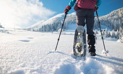 Adventure on Mount Etna: Experience the Magic of Snow with Snowshoes