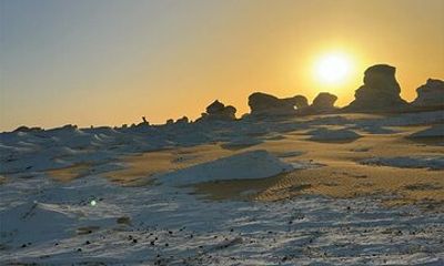 Western desert Safari white&black desert (3 Days,2 Nights)