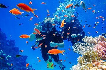 Hon Mun Island Discovery Scuba Diving Experience in Nha Trang