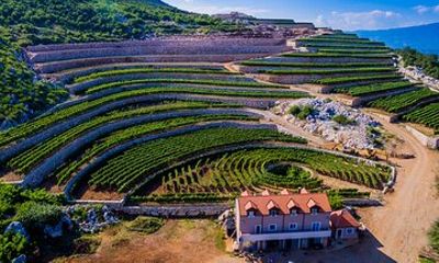 Private Wine Tasting Activity at Lipovac Winery