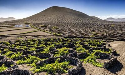 Timanfaya and Cueva de los Verdes