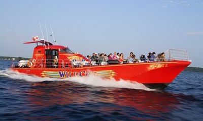 1 hour 'Singer Castle Express' Wildcat 1000 Islands Cruise