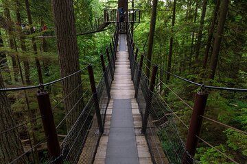 Private Grouse Mountain and Capilano Park Tour in Vancouver
