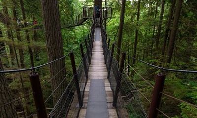 Private Grouse Mountain and Capilano Park Tour in Vancouver