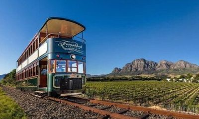 Cape Winelands in Stellenbosch Franschhoek and Paarl Tour