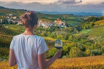 From Alba and Turin: Langhe Wine Tour with tasting