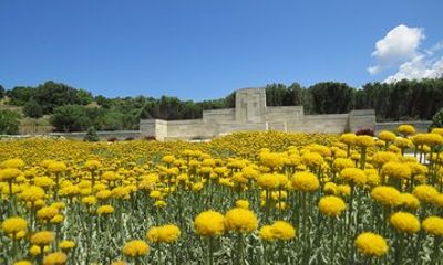 Full Day Private Tour of Helles and Anzac