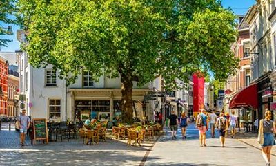 Historical Breda: Private Walking Tour with a Local Guide