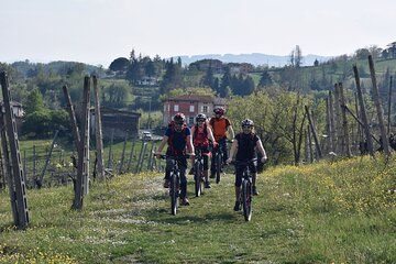 Half Day Private E bike Tour in Parma