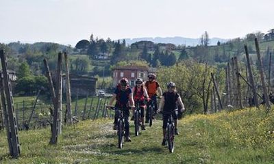 Half Day Private E bike Tour in Parma