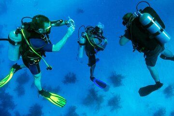 Marmaris Scuba Diving for Beginners and Certified Divers