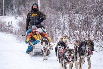 Ultimate Dog Sledding Tour - Day trip from Ottawa & Gatineau