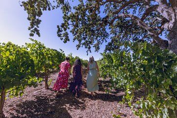 Temecula Valley Wine Tour with Tastings & Lunch Included