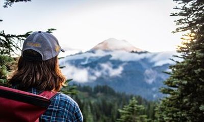 Mount Rainier Full Day Small Group Tour