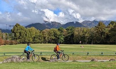 Private Yatsugatake Highland Guided Electric Bike Tour