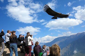 Full day at Colca Canyon from Arequipa
