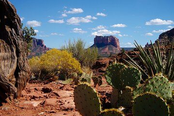 Sedona Half Day Private Tour & Hike