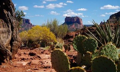 Sedona Half Day Private Tour & Hike