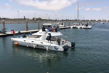 Catamaran Tour Walvis Bay