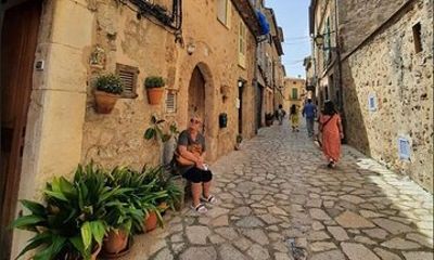 Mallorca's West Coast & Orange Valley Soller incl. pick-up North Coast