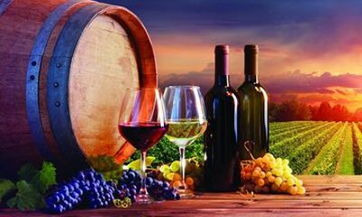 McLaren Vale Wine Lover Full Day Private Tour