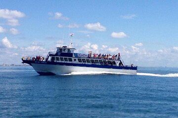 Myrtle Beach Dolphin Cruise Murrells Inlet