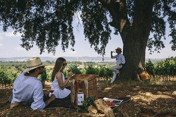Private Guided Wine Tour and Picnic Experience in Ronda