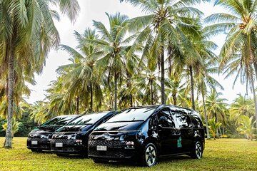 Palm Cove to/from Cairns ONE WAY Private Transfer 6 pax