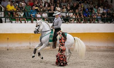 Andalusian Horses and Flamenco show with transportation