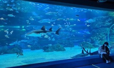 Discounted Entry Ticket for Gwanggyo Aqua Planet (내국인 불가)