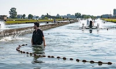 Beluga Caviar Tasting Tour with Transport Included
