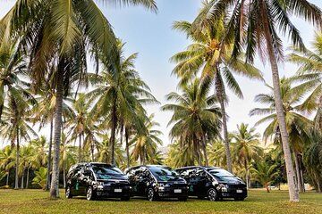Port Douglas to Palm Cove ONE WAY Private Transfer 6 Pax