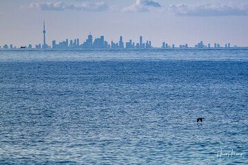 Private ONE-Way Transfer Niagara-on-the-Lake to Toronto Airport