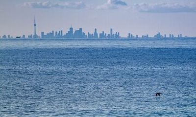 Private ONE-Way Transfer Niagara-on-the-Lake to Toronto Airport