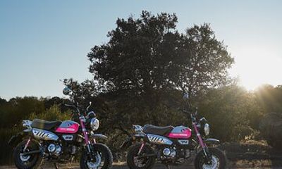 5 days Motorcycle Fun Tour in the North of Portugal