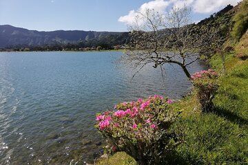 São Miguel, guided tour of the furnas with lunch included