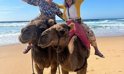 Top VIP Private Tour of Tangier from Estepona All Inclusive