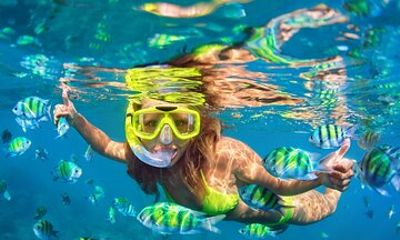 Full Day Snorkeling Tour to Phi Phi Islands from Krabi