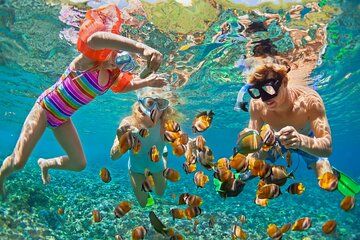 Snorkelling Tour to Surin Island from Khao Lak by Speed Boat