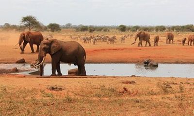 Private Overnight Tsavo National Park East Tour by Minivan