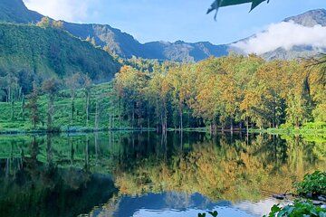 Half Day at the Cirque de Salazie with Private Driver