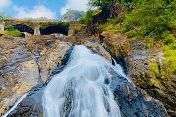 SIC Dudhsagar Waterfall and Spice Plantation Day Tour