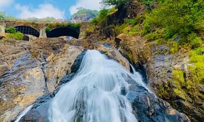 SIC Dudhsagar Waterfall and Spice Plantation Day Tour