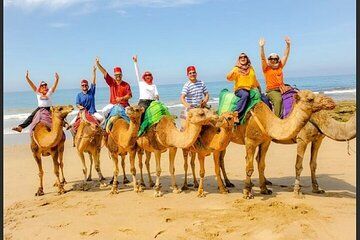 Authentic Private Tangier Tour from Estepona Camel Ride & Lunch