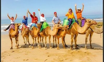 Authentic Private Tangier Tour from Estepona Camel Ride & Lunch