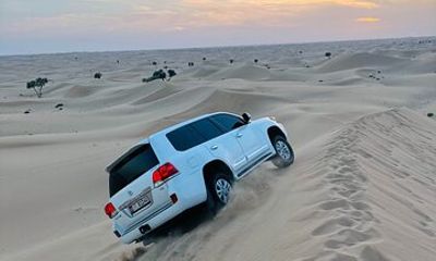 Abu Dhabi Desert Safari with Camel Ride BBQ Dinner and Live Shows