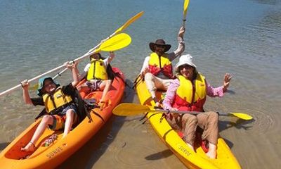 Daytime Kayak Eco Tour of New South Wales